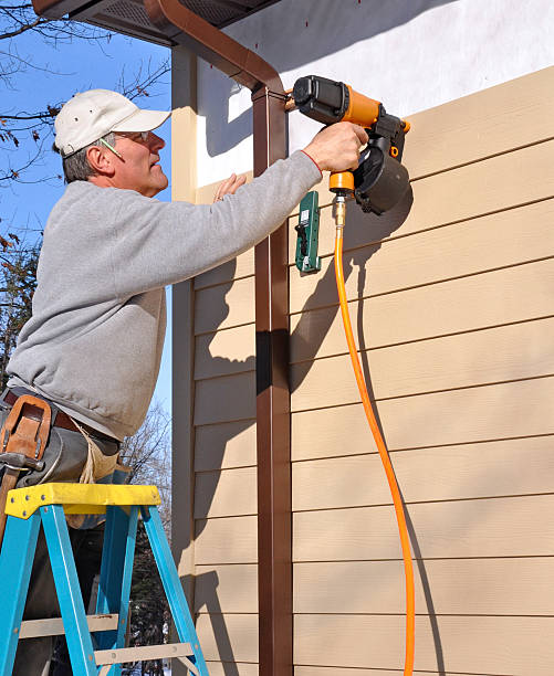 Best Custom Trim and Detailing for Siding  in Waverly, MI